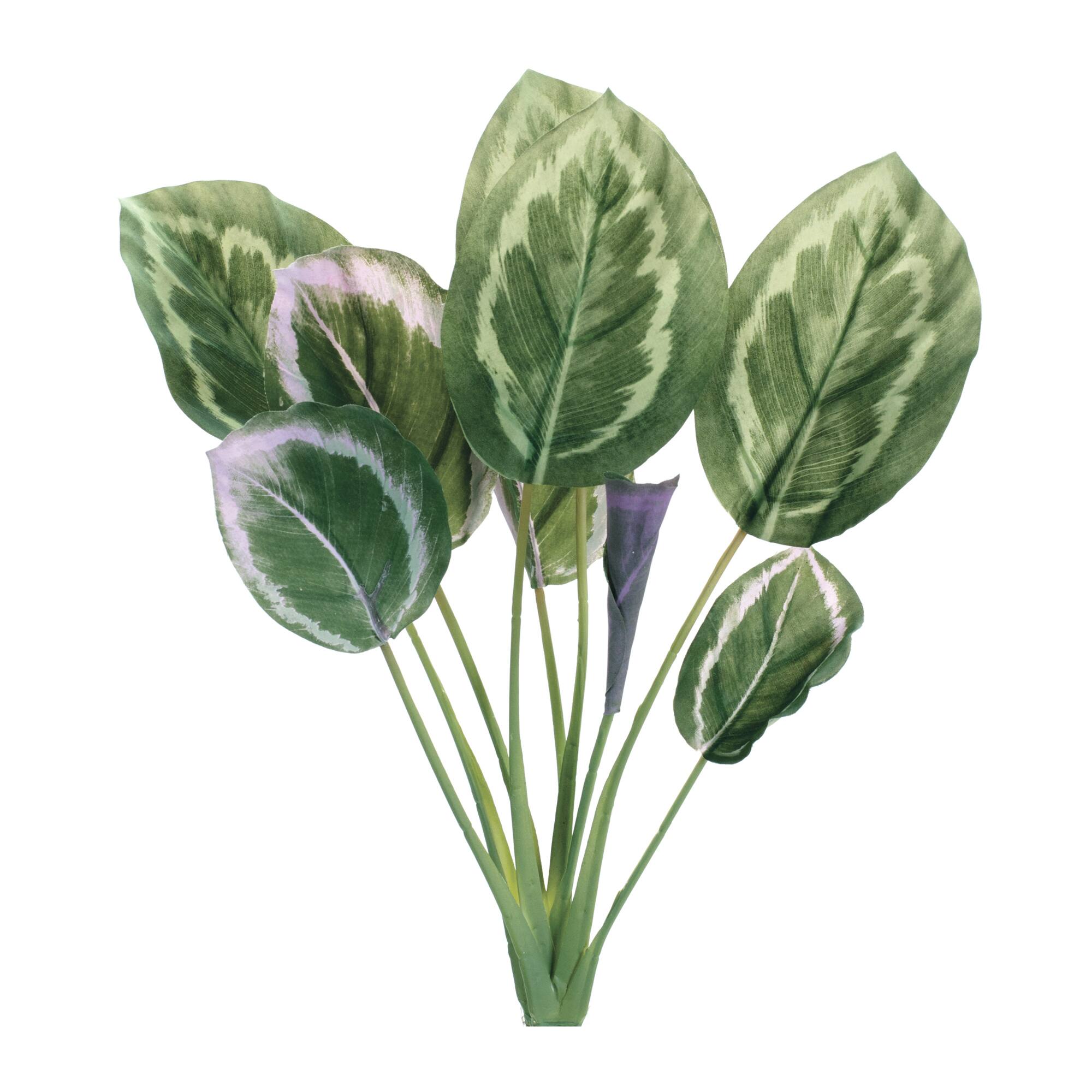 21.5" Prayer Plant Foliage Bushes, 6ct.